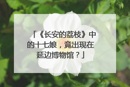 《长安的荔枝》中的十七娘，竟出现在延边博物馆？