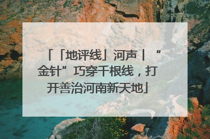 「地评线」河声丨“金针”巧穿千根线，打开善治河南新天地