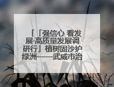 「强信心 看发展·高质量发展调研行」植树固沙护绿洲——武威市治沙造林筑牢生态安全屏障见闻