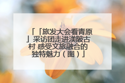 「旅发大会看青原」采访团走进渼陂古村 感受文旅融合的独特魅力（图）