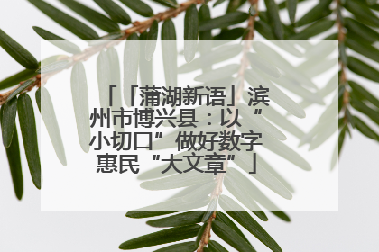 「蒲湖新语」滨州市博兴县：以“小切口”做好数字惠民“大文章”
