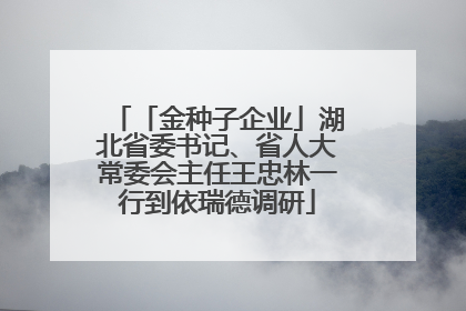 「金种子企业」湖北省委书记、省人大常委会主任王忠林一行到依瑞德调研