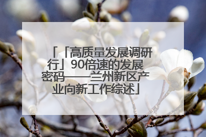 「高质量发展调研行」90倍速的发展密码——兰州新区产业向新工作综述