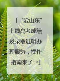 “爱山东”上线高考成绩及录取证明办理服务，操作指南来了→