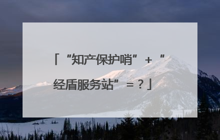 “知产保护哨”+“经盾服务站”=？