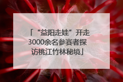 “益阳走娃”开走 3000余名参赛者探访桃江竹林秘境