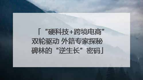 “硬科技+跨境电商”双轮驱动 外籍专家探秘碑林的“逆生长”密码