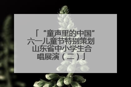 “童声里的中国”六一儿童节特别策划 山东省中小学生合唱展演（二）