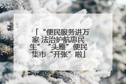 “便民服务进万家 法治护航惠民生”“头雁”便民集市“开张”啦