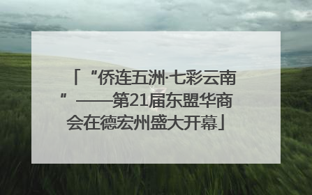“侨连五洲·七彩云南”——第21届东盟华商会在德宏州盛大开幕