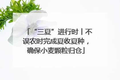 “三夏”进行时丨不误农时完成夏收夏种，确保小麦颗粒归仓
