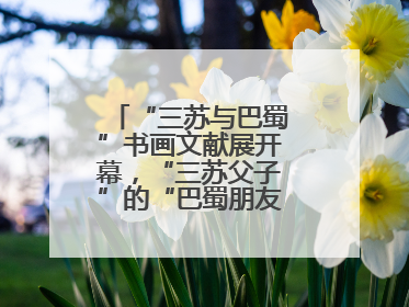 “三苏与巴蜀”书画文献展开幕，“三苏父子”的“巴蜀朋友圈”人物亮相