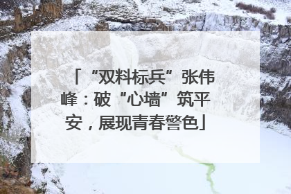 “双料标兵”张伟峰：破“心墙”筑平安，展现青春警色