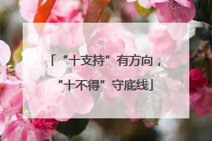 “十支持”有方向，“十不得”守底线