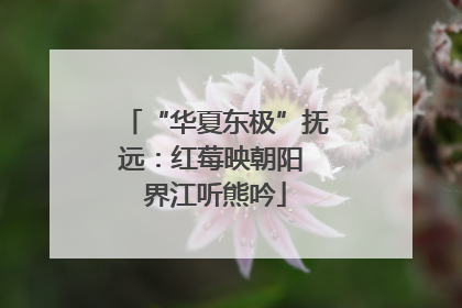 “华夏东极”抚远：红莓映朝阳 界江听熊吟