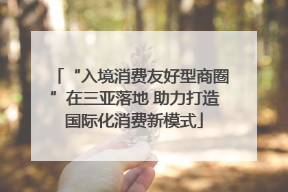 “入境消费友好型商圈”在三亚落地 助力打造国际化消费新模式