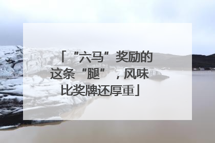 “六马”奖励的这条“腿”，风味比奖牌还厚重