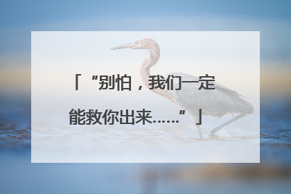 “别怕，我们一定能救你出来……”