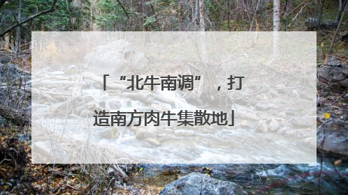 “北牛南调”，打造南方肉牛集散地