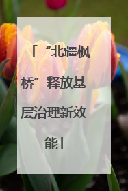 “北疆枫桥”释放基层治理新效能