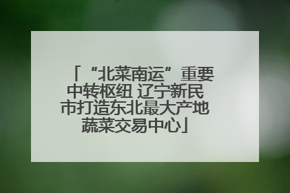 “北菜南运”重要中转枢纽 辽宁新民市打造东北最大产地蔬菜交易中心