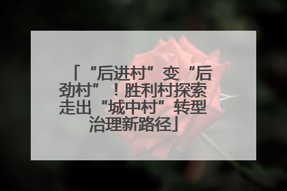 “后进村”变“后劲村”！胜利村探索走出“城中村”转型治理新路径
