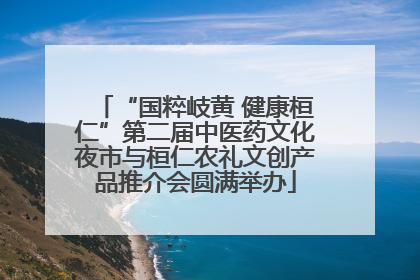 “国粹岐黄 健康桓仁”第二届中医药文化夜市与桓仁农礼文创产品推介会圆满举办