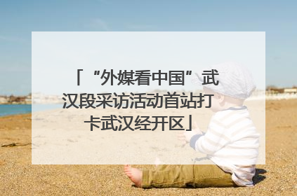 “外媒看中国”武汉段采访活动首站打卡武汉经开区