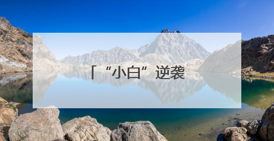“小白”逆袭大“盈”家