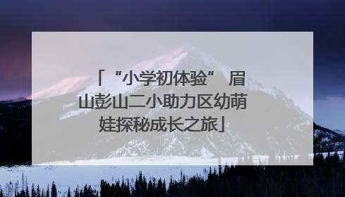 “小学初体验” 眉山彭山二小助力区幼萌娃探秘成长之旅