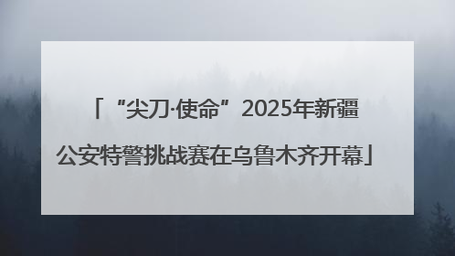 “尖刀·使命”2025年新疆公安特警挑战赛在乌鲁木齐开幕