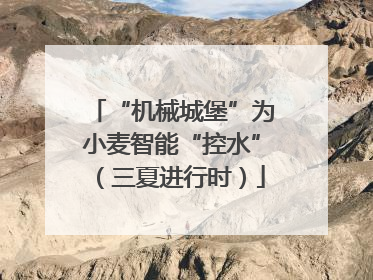 “机械城堡”为小麦智能“控水”（三夏进行时）