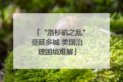 “洛杉矶之乱”蔓延多城 美国治理困境难解