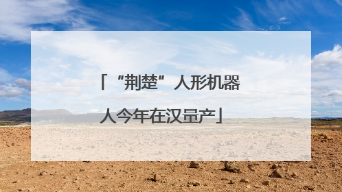 “荆楚”人形机器人今年在汉量产