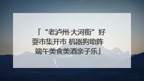 “老泸州·大河街”好耍市集开市 机器狗助阵端午美食美酒亲子乐