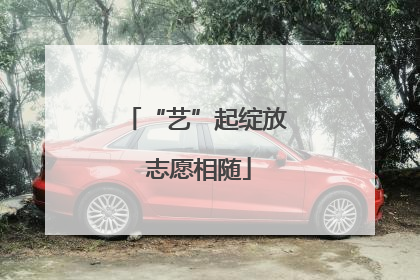 “艺”起绽放 志愿相随