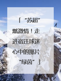 “苏超”燃激情！走进宿迁球迷心中的那片“绿茵”