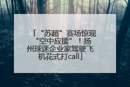 “苏超”赛场惊现 “空中应援”！扬州球迷企业家驾驶飞机花式打call