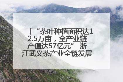 “茶叶种植面积达12.5万亩，全产业链产值达57亿元” 浙江武义茶产业全链发展“加速度”
