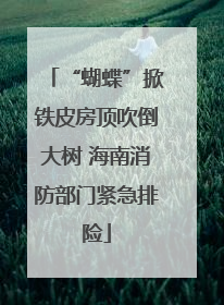 “蝴蝶”掀铁皮房顶吹倒大树 海南消防部门紧急排险