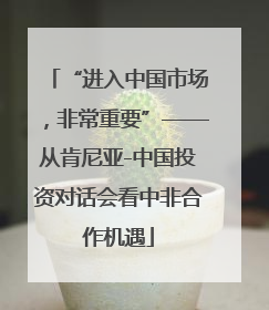 “进入中国市场，非常重要”——从肯尼亚-中国投资对话会看中非合作机遇