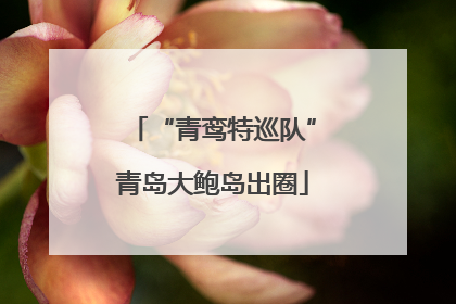 “青鸾特巡队”青岛大鲍岛出圈