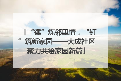 “锤”炼邻里情，“钉”筑新家园——大成社区聚力共绘家园新篇
