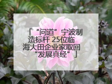 “问道”宁波制造标杆 25位临海大田企业家取回“发展真经”