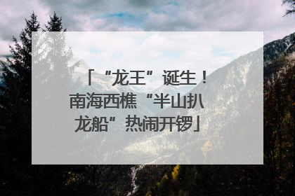 “龙王”诞生！南海西樵“半山扒龙船”热闹开锣