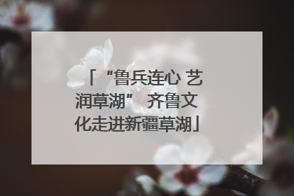 “鲁兵连心 艺润草湖” 齐鲁文化走进新疆草湖