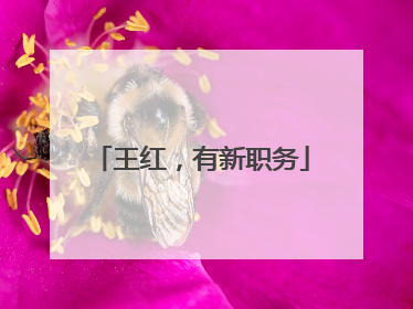 王红，有新职务