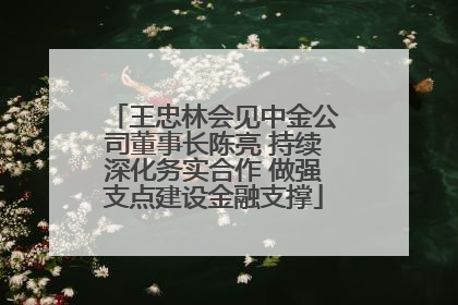 王忠林会见中金公司董事长陈亮 持续深化务实合作 做强支点建设金融支撑