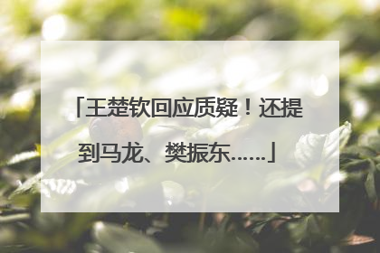 王楚钦回应质疑！还提到马龙、樊振东……
