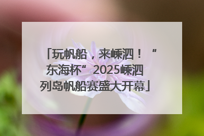 玩帆船，来嵊泗！“东海杯”2025嵊泗列岛帆船赛盛大开幕